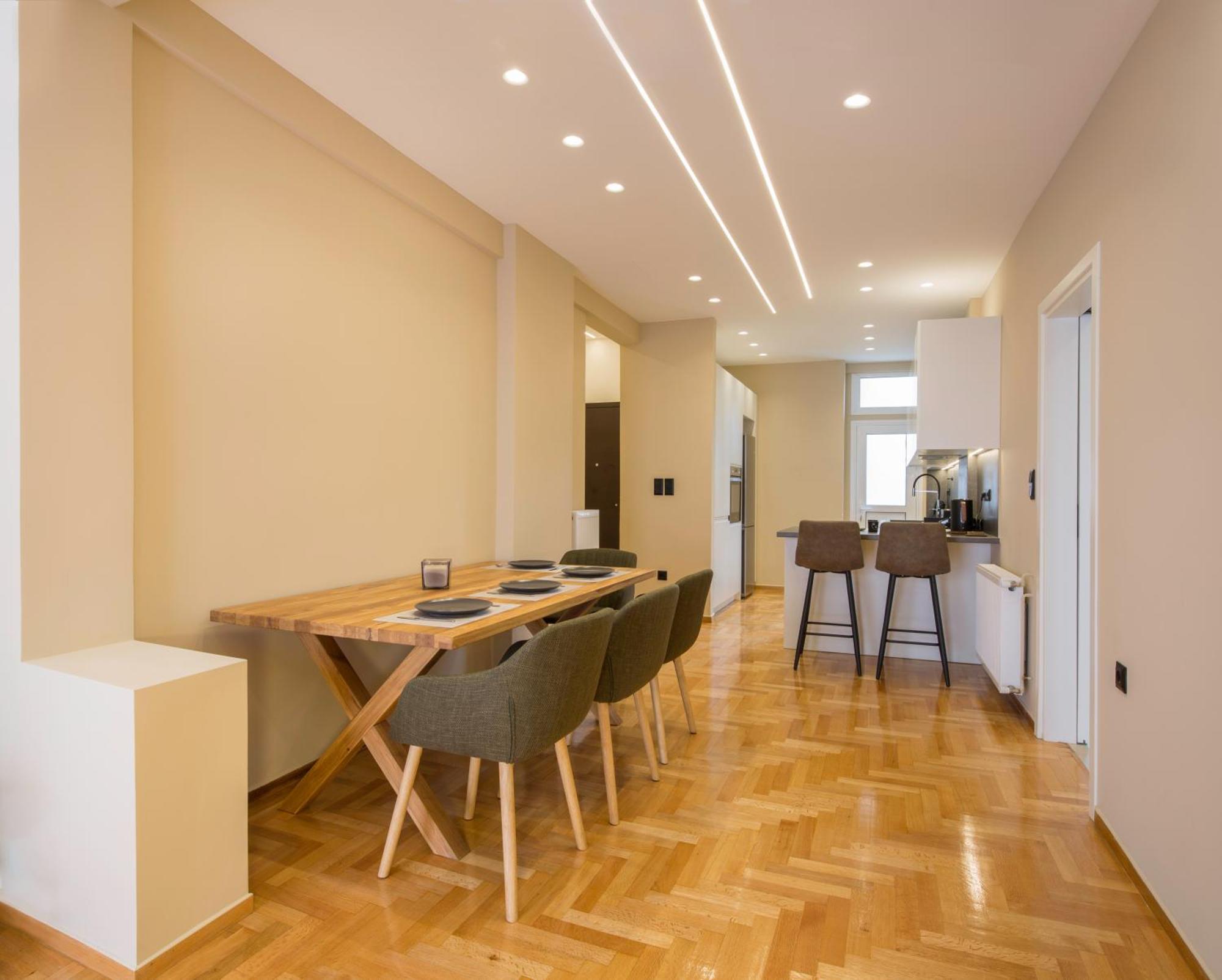Urban Spacious Apartment Near Kallimarmaron 아테네 외부 사진