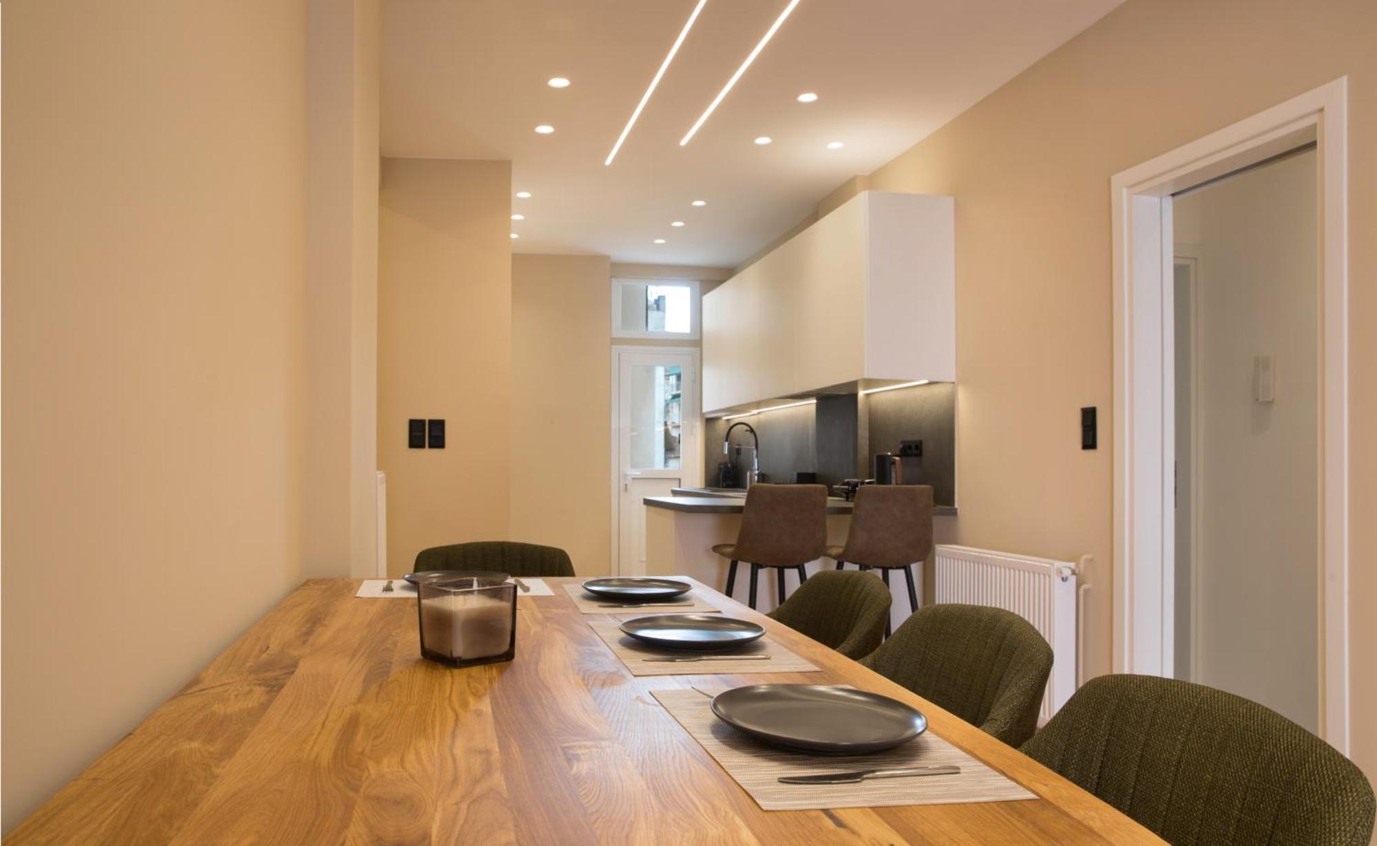 Urban Spacious Apartment Near Kallimarmaron 아테네 외부 사진