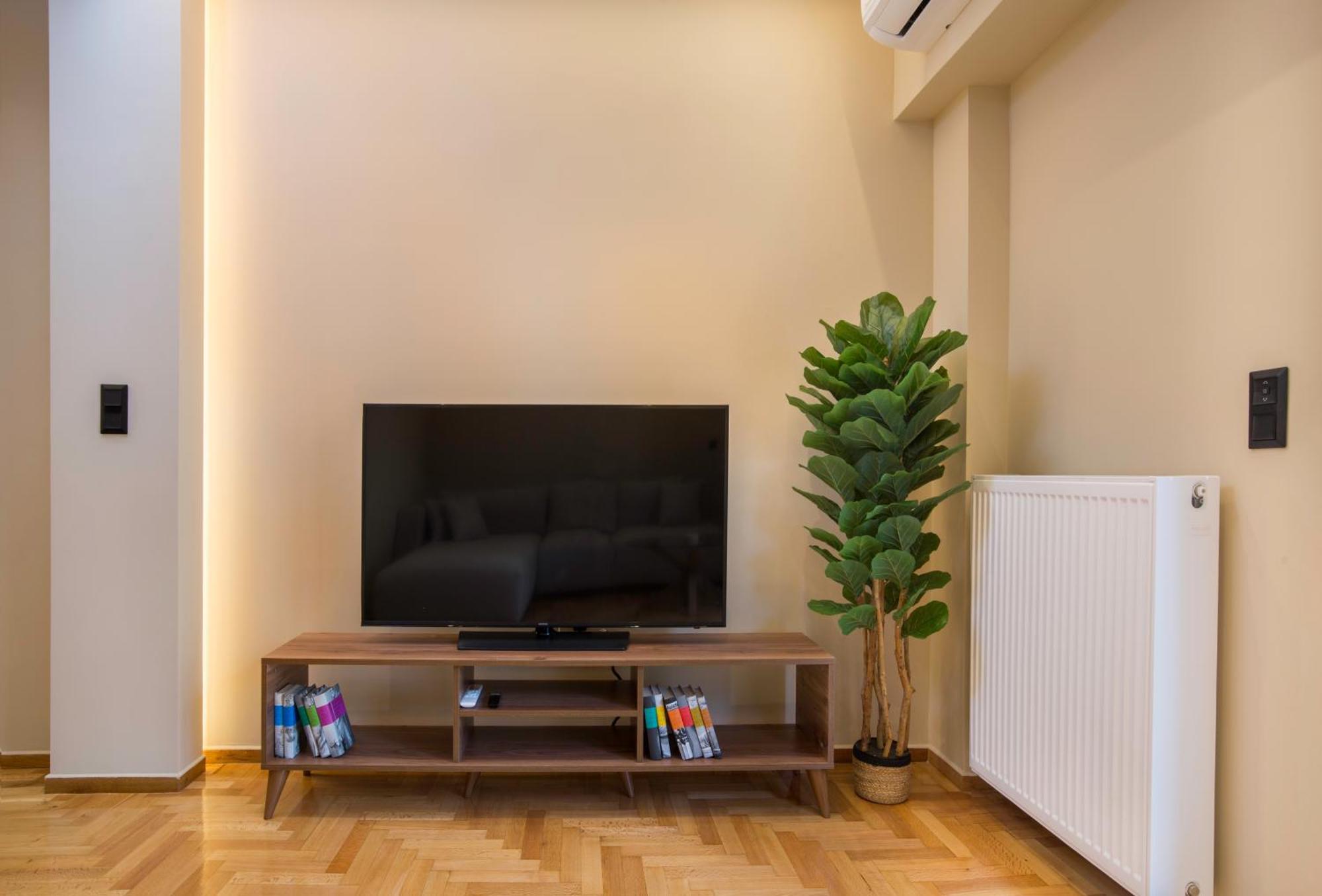 Urban Spacious Apartment Near Kallimarmaron 아테네 외부 사진
